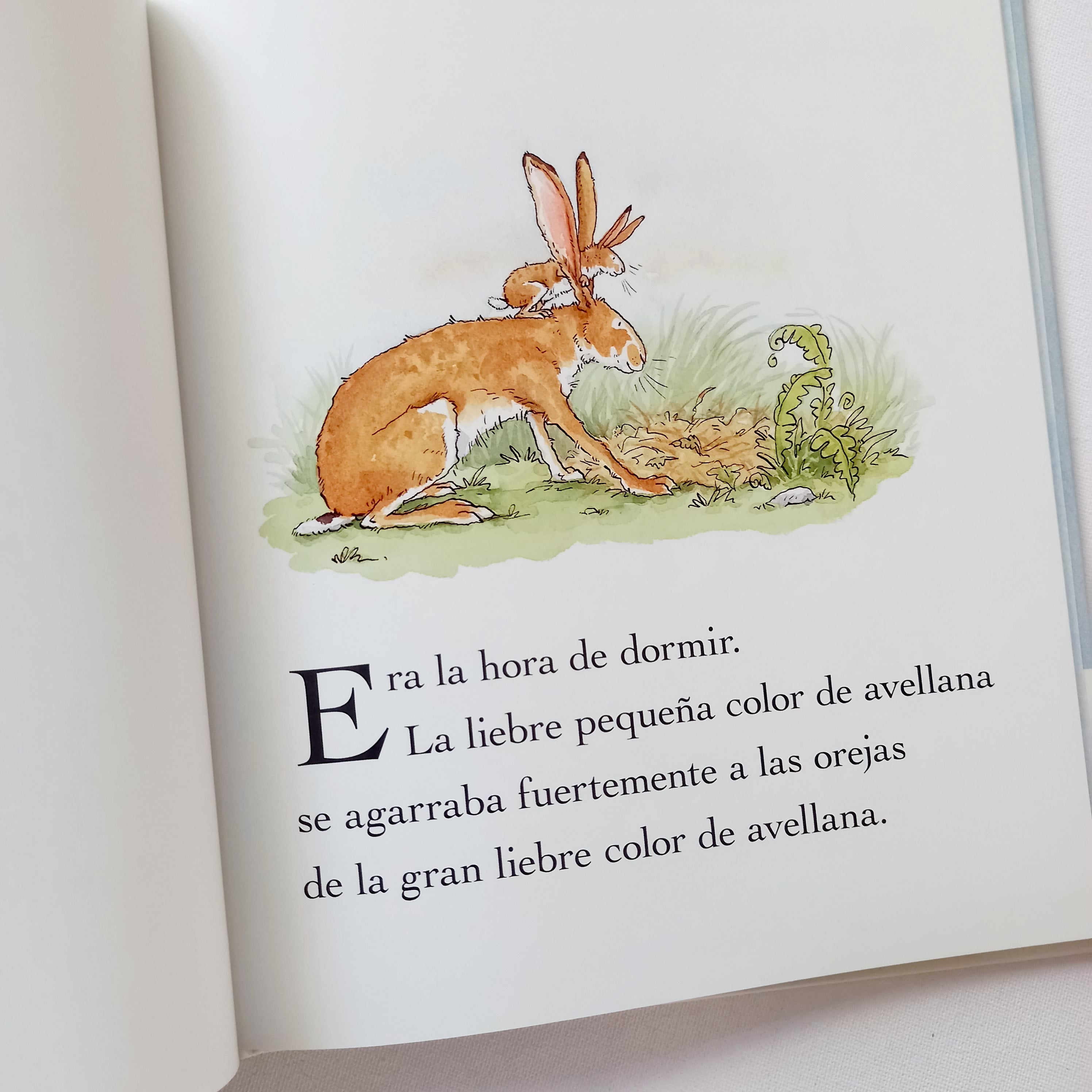 Adivina cuánto te quiero Adivina cuánto te quiero